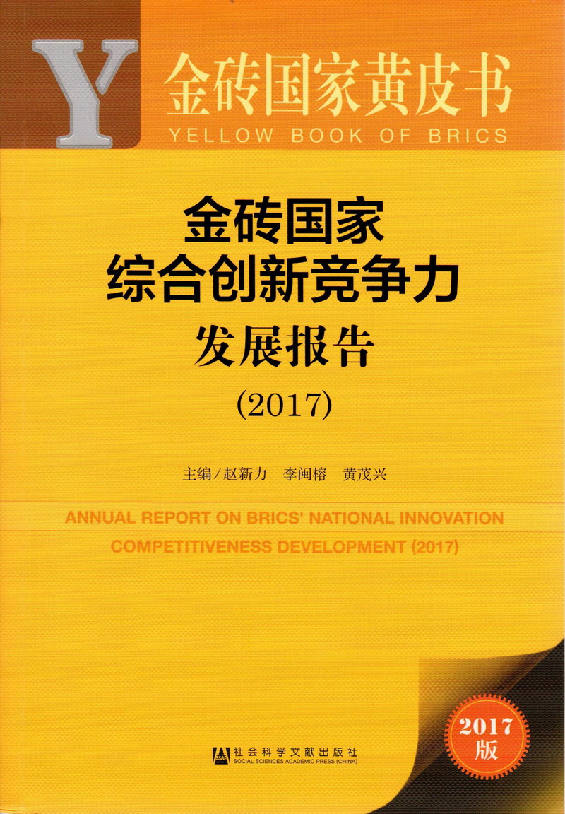 美女扣逼喷水视频软件下载金砖国家综合创新竞争力发展报告（2017）